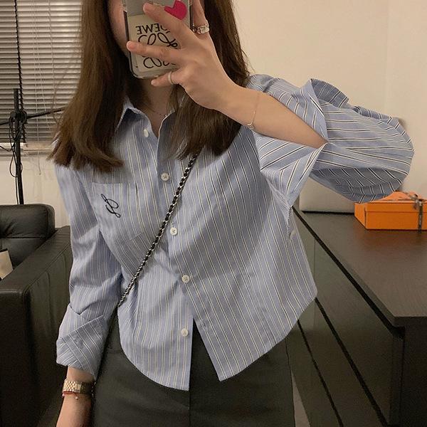 Korean Embroidered Striped Blue Shirt for Women - Spring/Autumn 2026 New Design M
