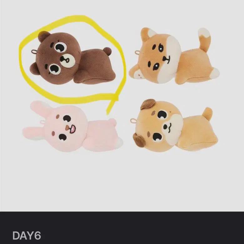 DAY6 Desik Gift Con Denimals Hot Pack