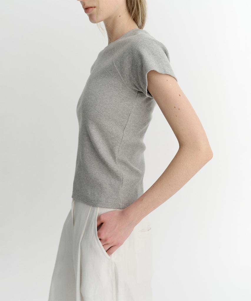 Ia Raglan Rib T-Shirt (Grey)