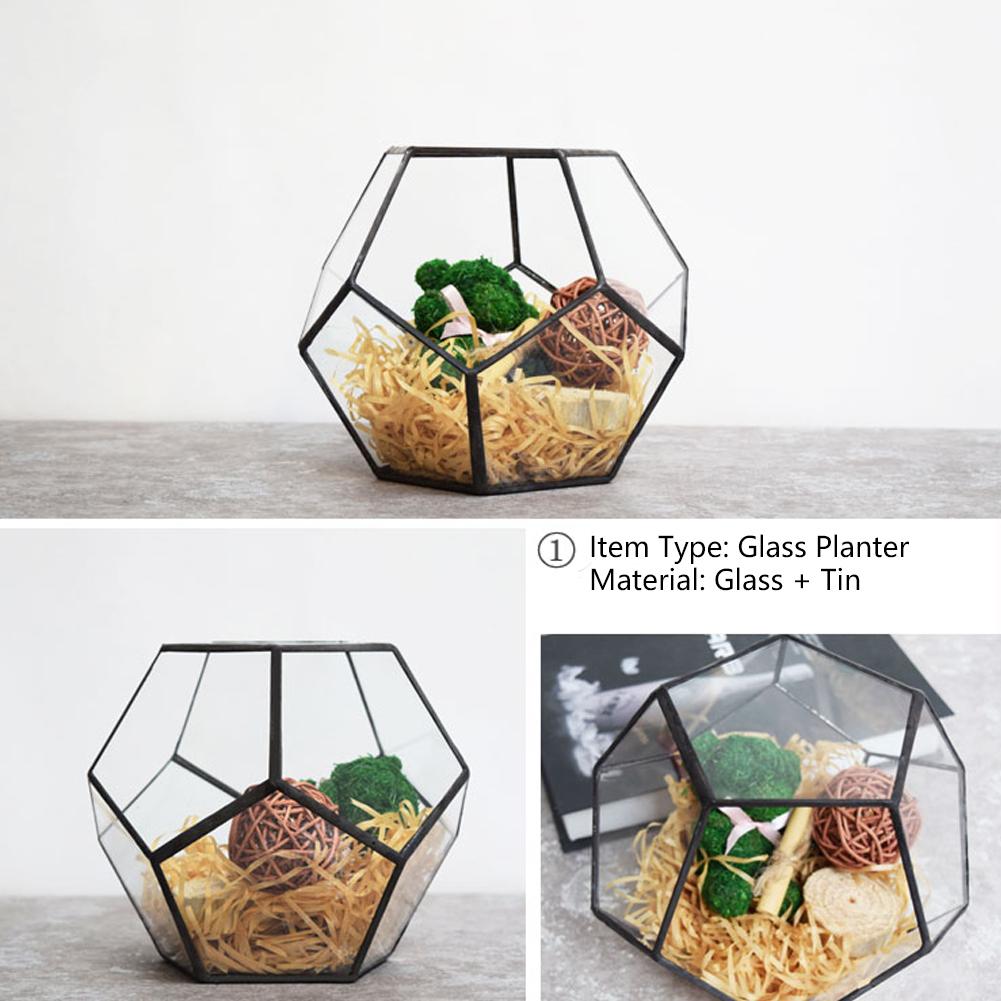 Stilvolle geometrische Form Glas Blumentopf Sukkulenten Pflanze Pflanzer Container Landschaft Dekoration