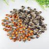 Small Acorn Foam Hazelnut Models for DIY Halloween and Christmas Decorations