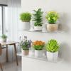 Pack of 1 Clear Acrylic Plant Holder for Succulents Home Decoration Easy Installation Shelf for Window
