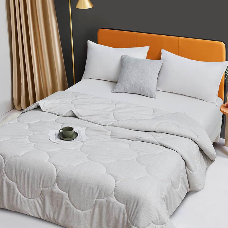 Hongdou Qingyu All Season Silk Blend Quilt