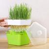 Sprouts Seedling Tray Breeding Box Cat Grass Planting Box Hydroponic Flower Basket Sprouts Planting Box Hydroponic Set