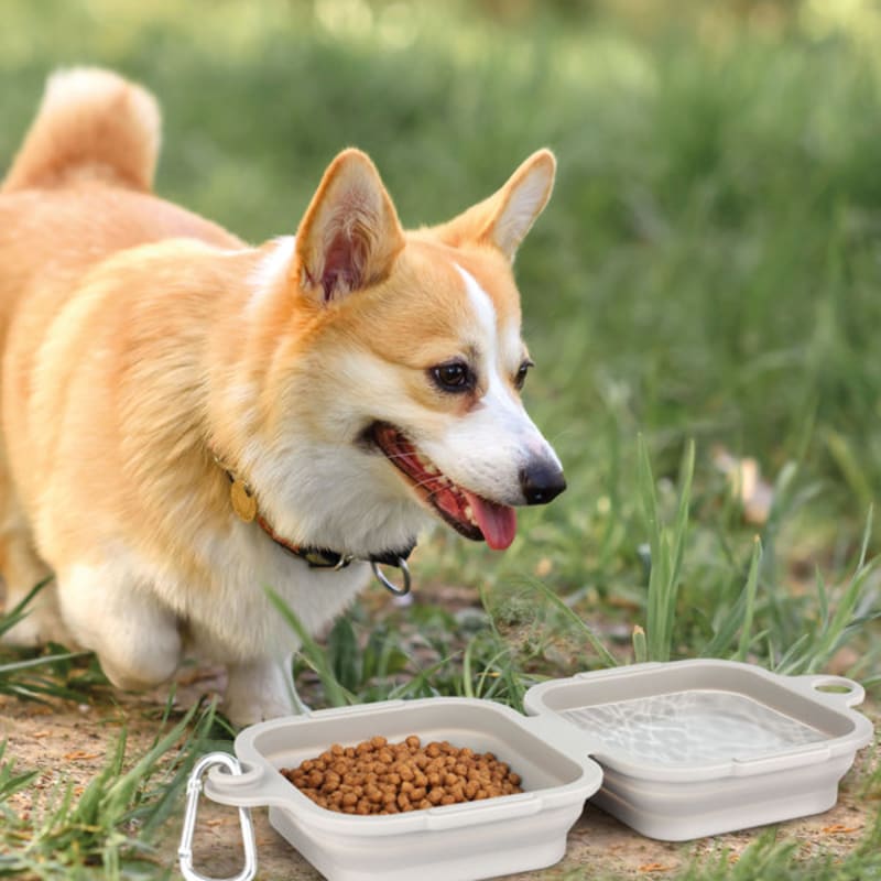 [Haustier] Tragbares Faltbares Geschirr, 2-teilig