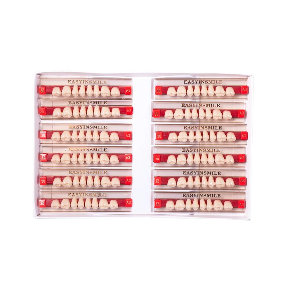 16/12 Sätze/Karton Zahnprothese Zähne Oberkiefer Frontzähne Unterkiefer Seitenzähne Dentier Synthetisches Polymerzähne Zahnmedizinische Ausbildungsmodell