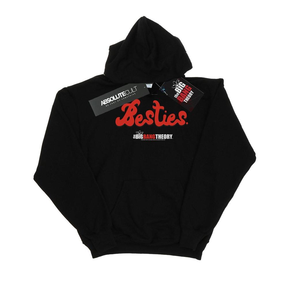 The Big Bang Theory Boys Besties Text Hoodie