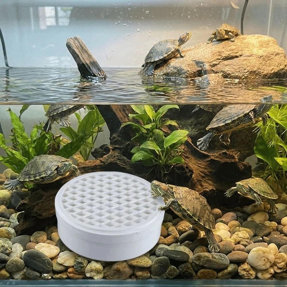 Efficient Turtle Poop Collector Basking Platform Turtle Poop Catcher Feces Collector Turtle Tank