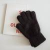 Winter Warm Thick New Windproof Cold Wool Gloves Couple Korean Cute Gloves Women