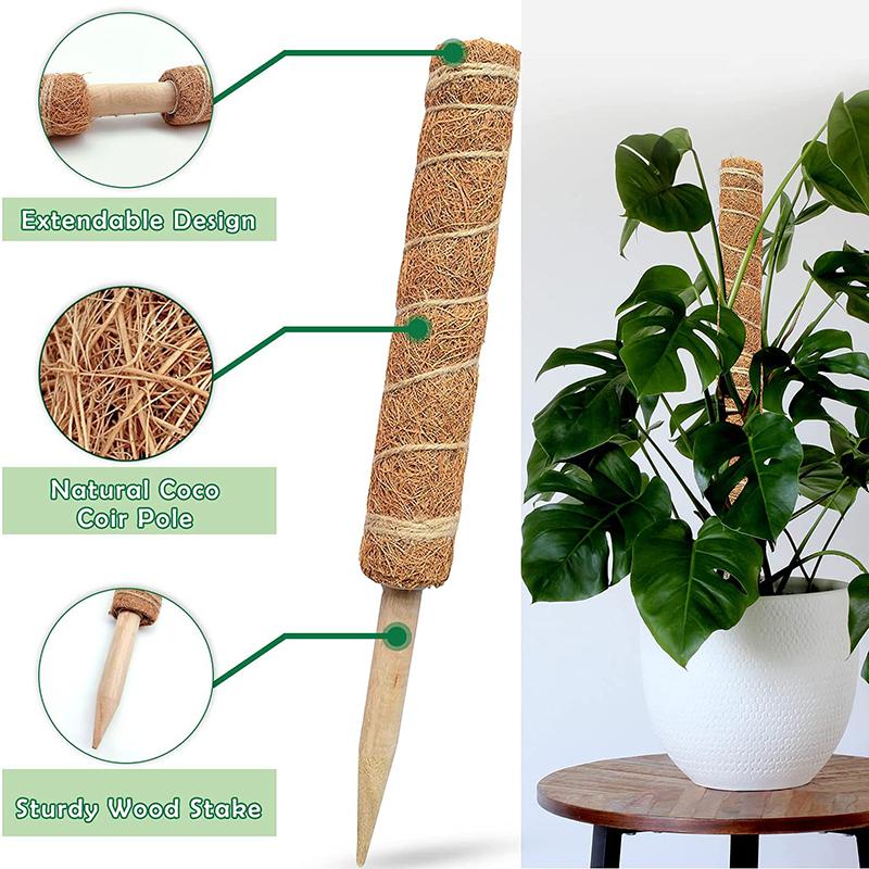 30/40/50/60cm Coconut Palm Stick Maintain Moisture Creeper Trelli Frame Plant Support for Garden Climbing Plants Vine Plants