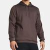 Under Armour Solid Color Casual Hooded Long Sleeve Sweatshirt Men sweatshirt Brown 1379668-057