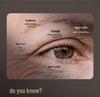 Cross-Border EMS Eye Massage Device: Lifts, Fades Fine Lines & Dark Circles, Relaxes & Revitalizes Eyes