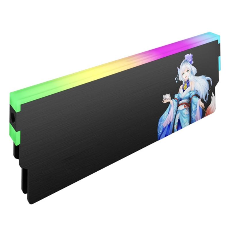 High Performances Metal RAMs Coolers With ARGB Lighting For Gaming PC DDR5 DDR4 DDR3 DDR2 Memory Module