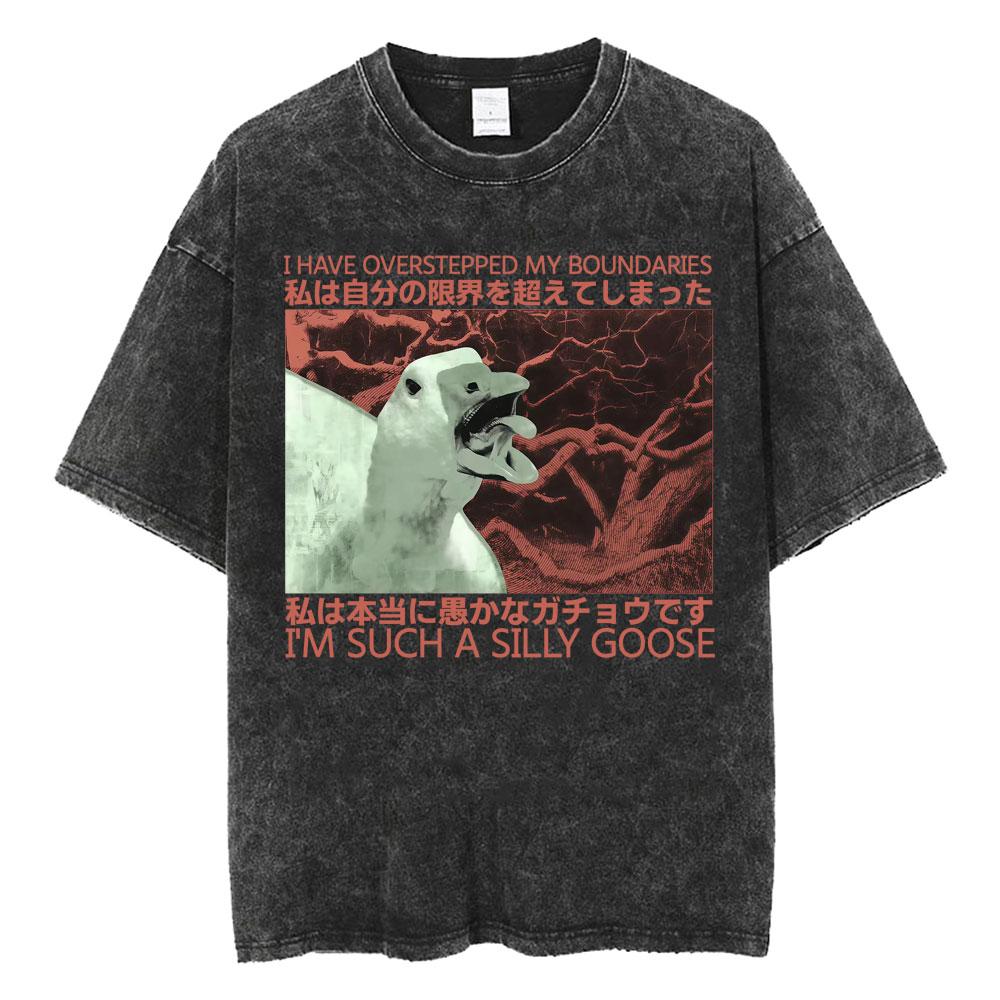 I Have Overstepped My Boundaries I m Such Silly Goose Funny T Shirt Vintage Style Animal Washed T Shirts Men Women Loose T-shirt S разноцветный