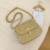 This Year, the Popular Woven Small Bag Women's 2025 New Fashion Shoulder Messenger Bag Personalized Lock Straw Square Bag