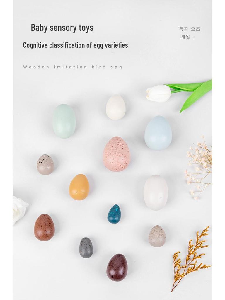 Wooden Educational Pretend Play Set: Colorful Bird, Chicken, and Duck Eggs for Kindergarten Science Learning