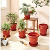 Round Pots for Plants with Bottom Tray | Modern Design | Indoor and Outdoor Flower Pot for Home/Office/Table/Garden/Balcony Decoration