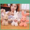 Rabbit Stuffed Animal Pillow With Premium Pp Cotton For Comfort And Cuddling