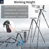 INNOREL Carbon Tripod Camera Nut Lock Type Load Capacity 20KG 4 Tiers Telescopic Panoramic Tube Diameter Bowl Adapter Video Digital Camera SLR Digital