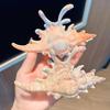 Acrylic Conch Hair Claws Korean Exaggerated Colorful Irregular Personality Large Hair Claw Women Girls Hair Accessories