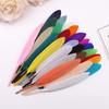 50Pcs20 Colors Colored Goose Feather Small Straight Knife Feather Diy Colored Feather Kindergarten Handmade Feather