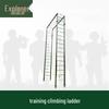Explorer Fitness Training Ladder