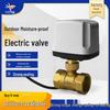 Robinet à boisseau sphérique fileté bidirectionnel en laiton 220V 24V, normalement fermé, mini vanne d'eau électrique étanche à l'humidité
