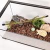 Realistic Vine For Terrariums Decors Natural Lookings Safe Climbing Artificial Vine For Various Amphibians Habitats