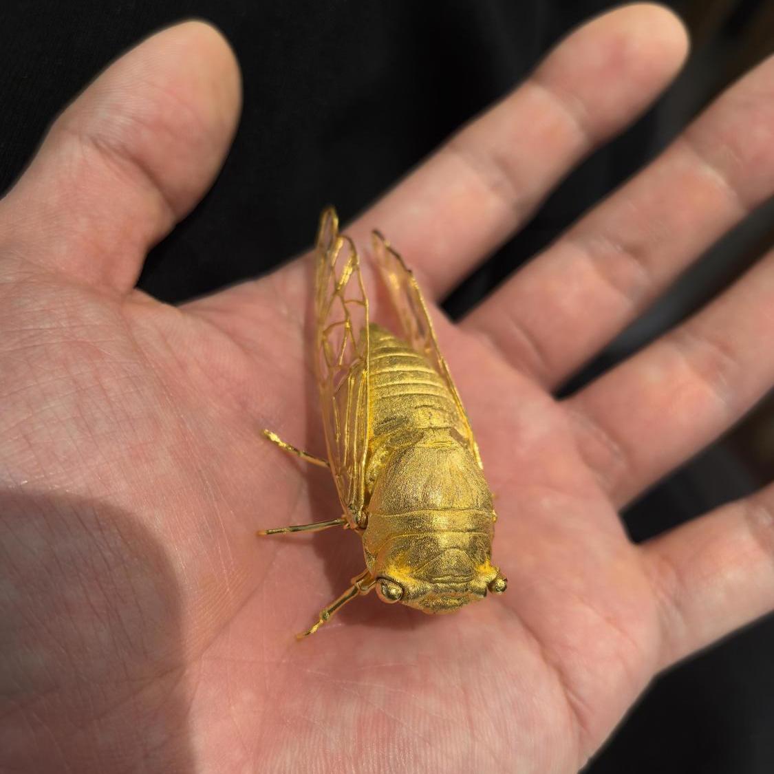 Vintage Cicada Molting Golden Cicada Ornament, Mini Luxury Trendy Desk Decor Golden Cicada Ornament-Si