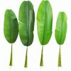 Thickened Artificial Banana Leaves & Wedding Flower Ornaments for Indoor & Traveler's Palm Landscaping