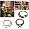 Decor Ornament for Reptile Vivarium