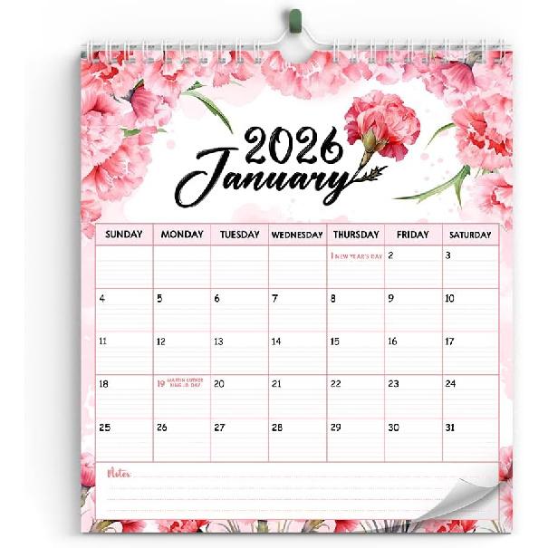 2026 Wall Calendar With Abstract Design, Jan 2026 - Feb 2027 Great Organizer For Anniversaries Appointments, Ideal For Home Or Classroom