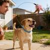 Cat Collar Toy Interactive Teasing Wand Kitten Cat Feathers Toys for Indoor Outdoor Park Home Daily Exercise Training