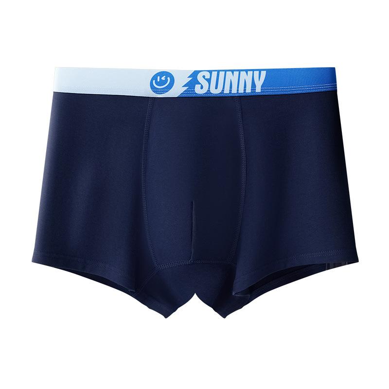 Male Spring and Autumn Cotton 10A Antibacterial Youth Development Period Flat Angle Underwear