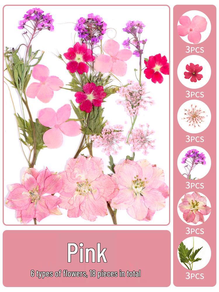 Creative DIY Bookmark Kit: Blank Cards with Embossed Dried Flowers and Leaves