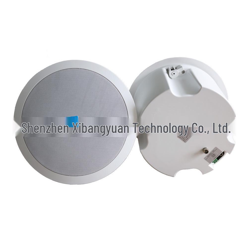 Wireless Ceiling Speaker with App Control and Multi-Room Stereo Sync
