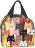 Cat Lunch Bag, Cute Kids Reusable Cooler Lunch Tote Bag Insulated Leakproof Lunch Box Container with Front Pocket for Girls Boys