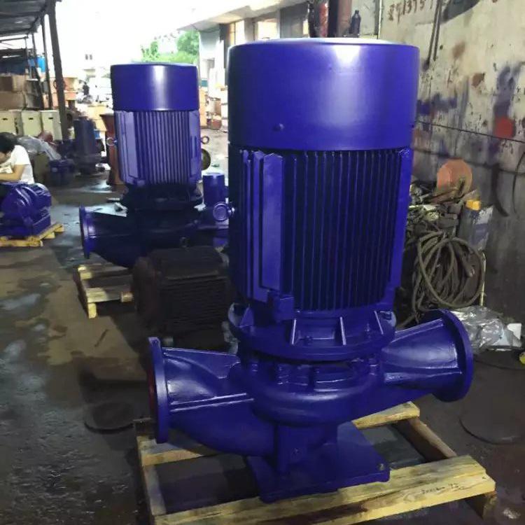 IRG125-125 Vertical Single-Stage Hot Water Pipeline Pump with Explosion-Proof Option