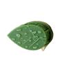 Self-Adhesive Invisible Clips for Wall-Mounting Green Vines and Ivy