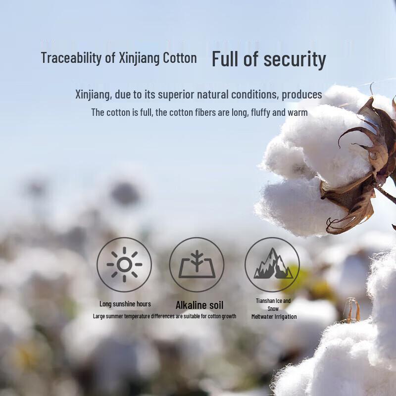 LUOLAI 100% Pure Xinjiang Cotton Quilt