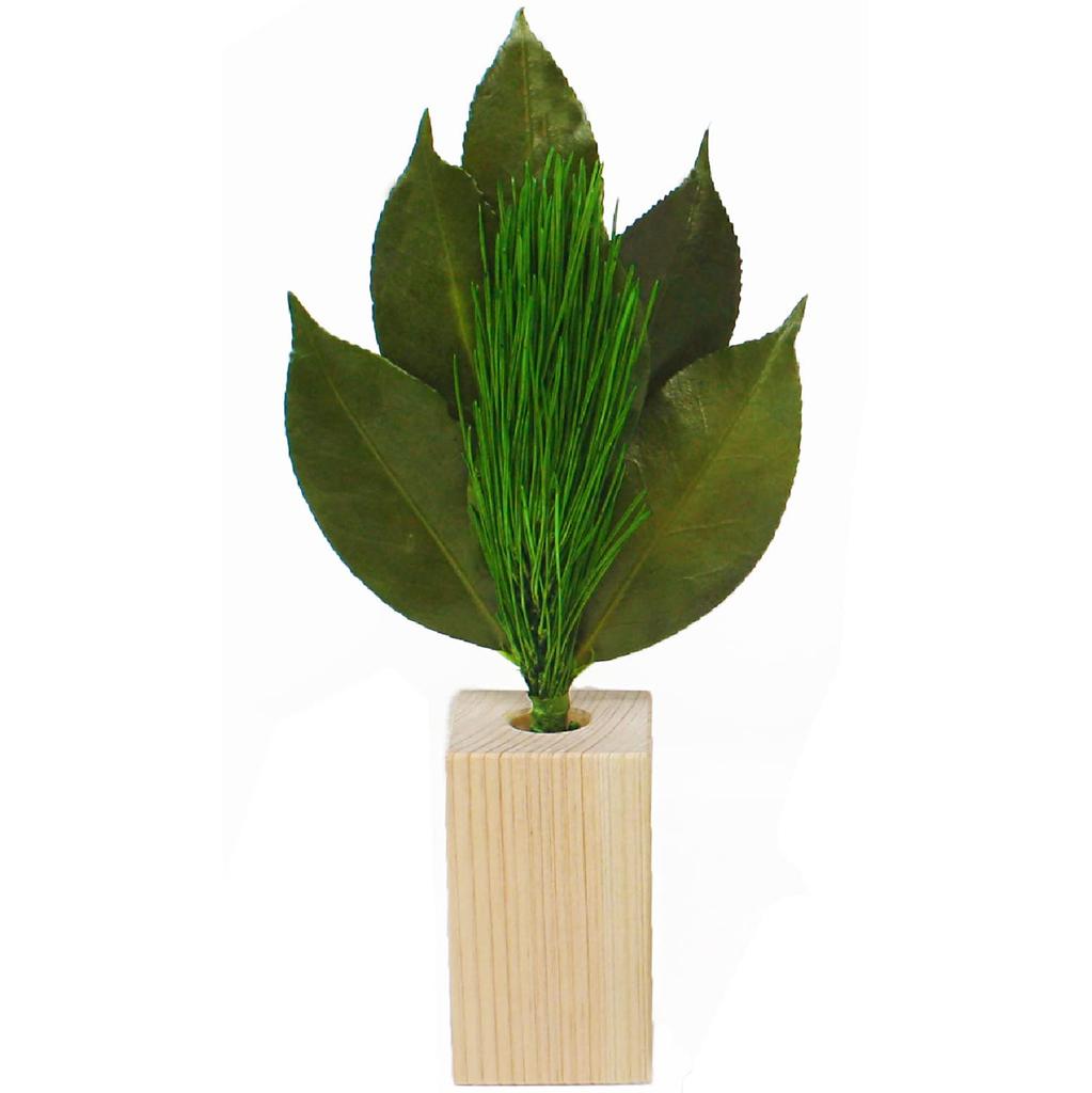 A&K Premium Arajin Pine Preserved Flower Set with Vase (SS Size) for Offerings (Produced In Tanba) Sakaki Arajin
