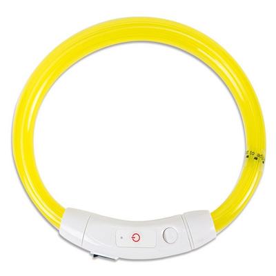 Ding Dong Pet Dog Rechargeable LED Collar, Korean Pet Shampoo