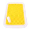 Dog Toilet High Fence Odor Proof Easy To Clean Plastic Pee Pad Holder Pet Potty Tray for Small Dogs