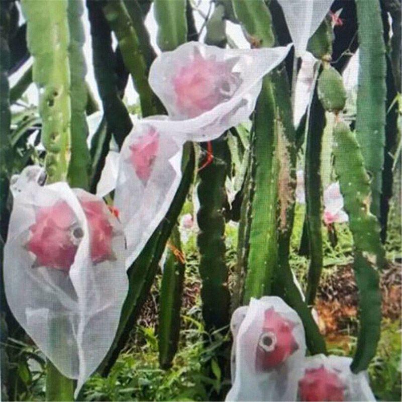 Durable Garden Plant Drawstring Net Bags Keep Insects And Pests Away From Fruits
