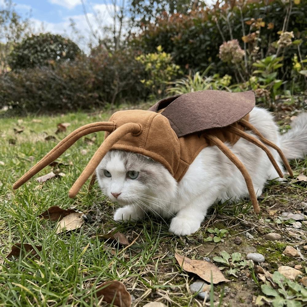 Realistic Pet Cockroach Cosplay Costume with Wing Costume Pranks Outfit  Halloween
