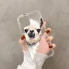 Kawaii śliczne lama alpaka zwierzęta kreskówki kolorowe etui na telefon dla iphone 13 11 12 pro XS MAX 8 7 6 6S Plus X 5S SE 2020 XR etui