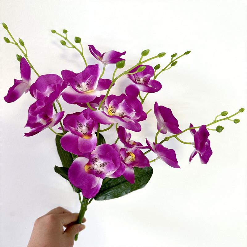 

Artificial Bloom Phalaenopsis Collection For Living Room And Decoration Party Deep Purple