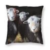 Federa Quadrata con Pecore Herdwick in un Fienile Cumbria Poliestere Lino Velluto Fantasia Zip Decorata Federa per Cuscino da Lancio Custodia per Cuscino da Stanza