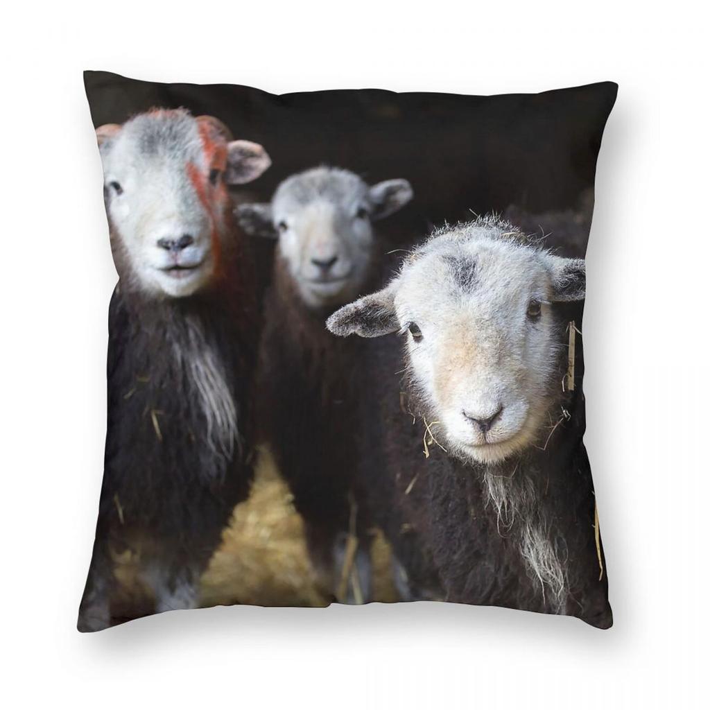 Federa Quadrata con Pecore Herdwick in un Fienile Cumbria Poliestere Lino Velluto Fantasia Zip Decorata Federa per Cuscino da Lancio Custodia per Cuscino da Stanza