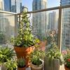 2pcs 14.96x5.91inch Honeycomb Plant Climbing Trellis, Rust-Resistant for Potted Vines& Flowers, Space-Saving Indoor/Outdoor Garden Support
